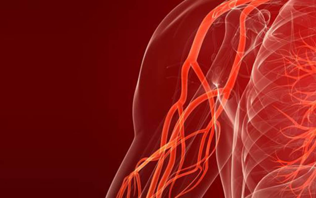O que é a especialidade médica angiologia e cirurgia vascular periférica?